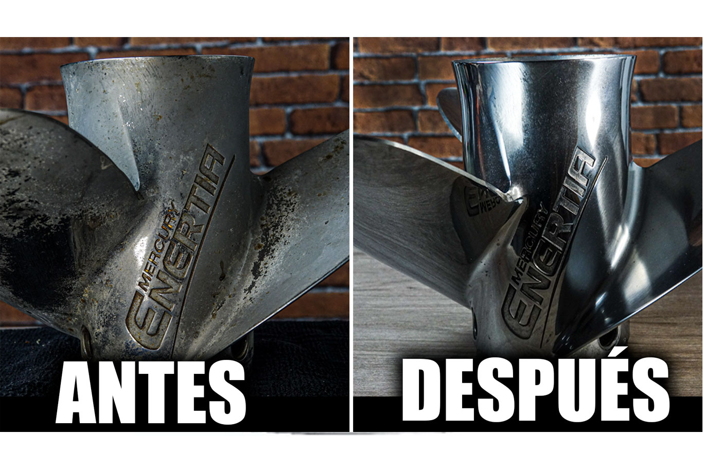 G200 INOX - Imagen 3