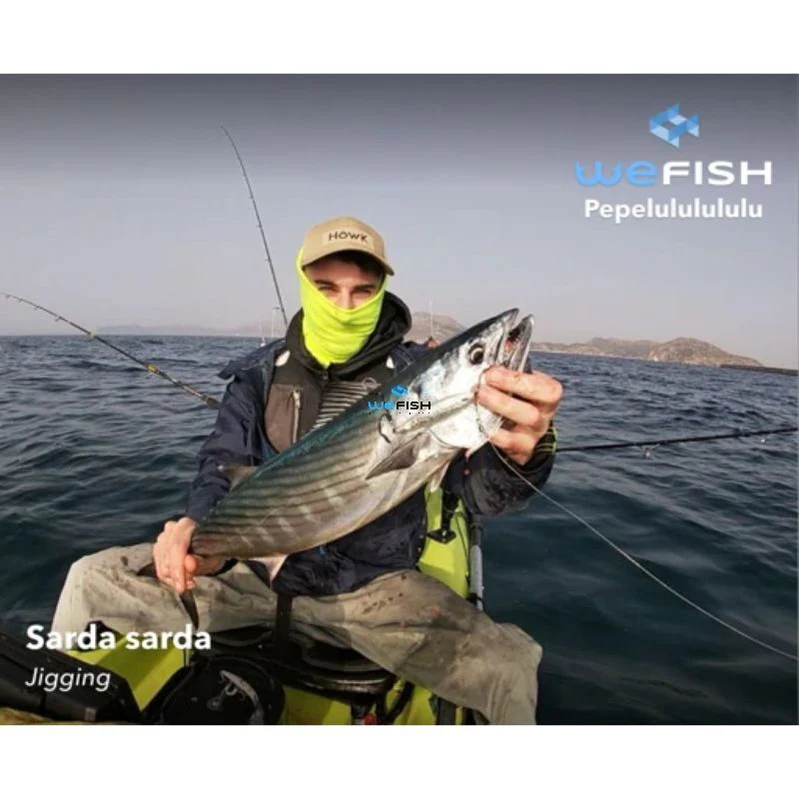 Señuelo Jig Hart Bony // 41mm, 60mm, 70mm, 80mm / 10g, 18g, 28g, 40g - Imagen 3