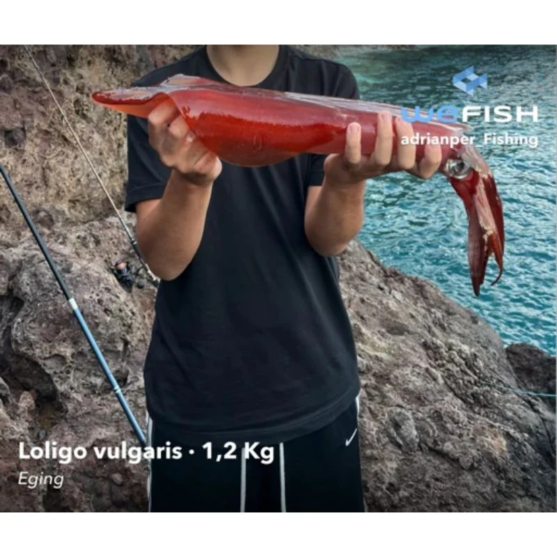 Señuelo Pajarita DTD Full Color Oita // 3.0, 3.5, 4.0 - Imagen 3