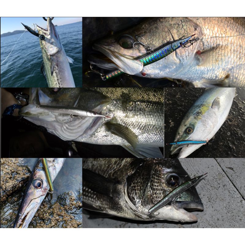 Señuelo Paseante Hundido Little Jack Sayoris-Z // 133mm / 29g - Imagen 3